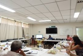 Predefensa doctoral virtual